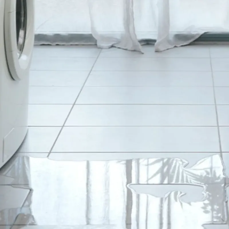 Appliance Leak Cleanup in Watseka, IL