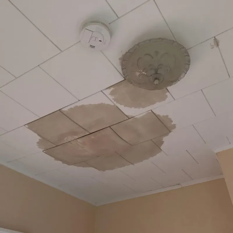 Ceiling Water Damage Repair in Watseka, IL